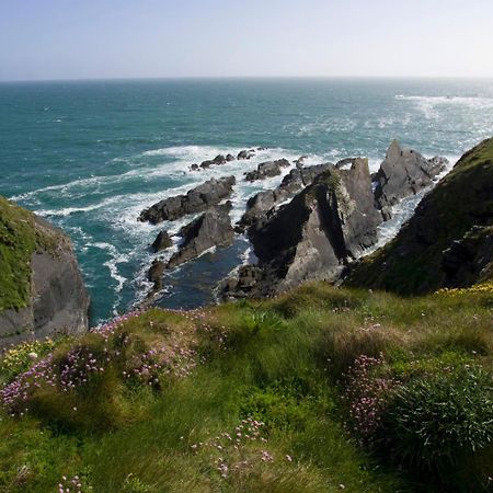 Galley Head Lightkeeper'S Houses Donoure Exterior foto